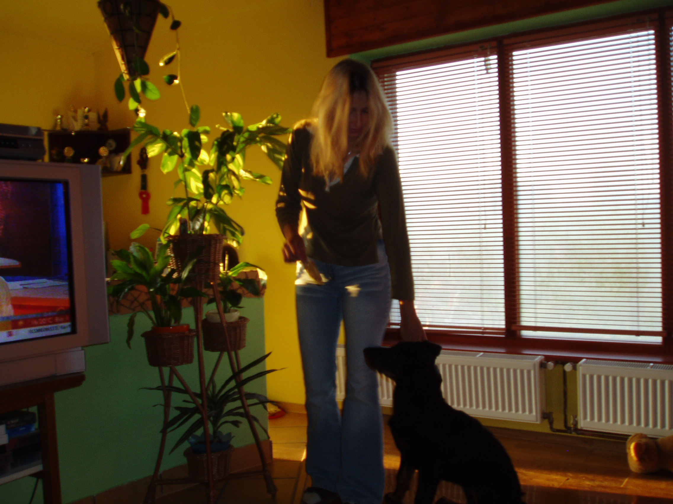 beauceronka Drakee Magic Magpie a kámošové 042.jpg