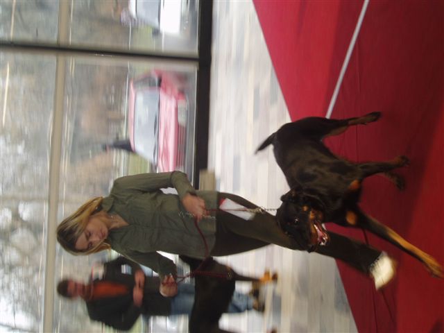 vystava_Olomouc_leden_2008_019.jpg