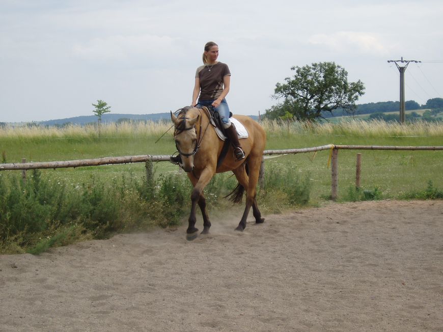 Impala Jeřice.jpg